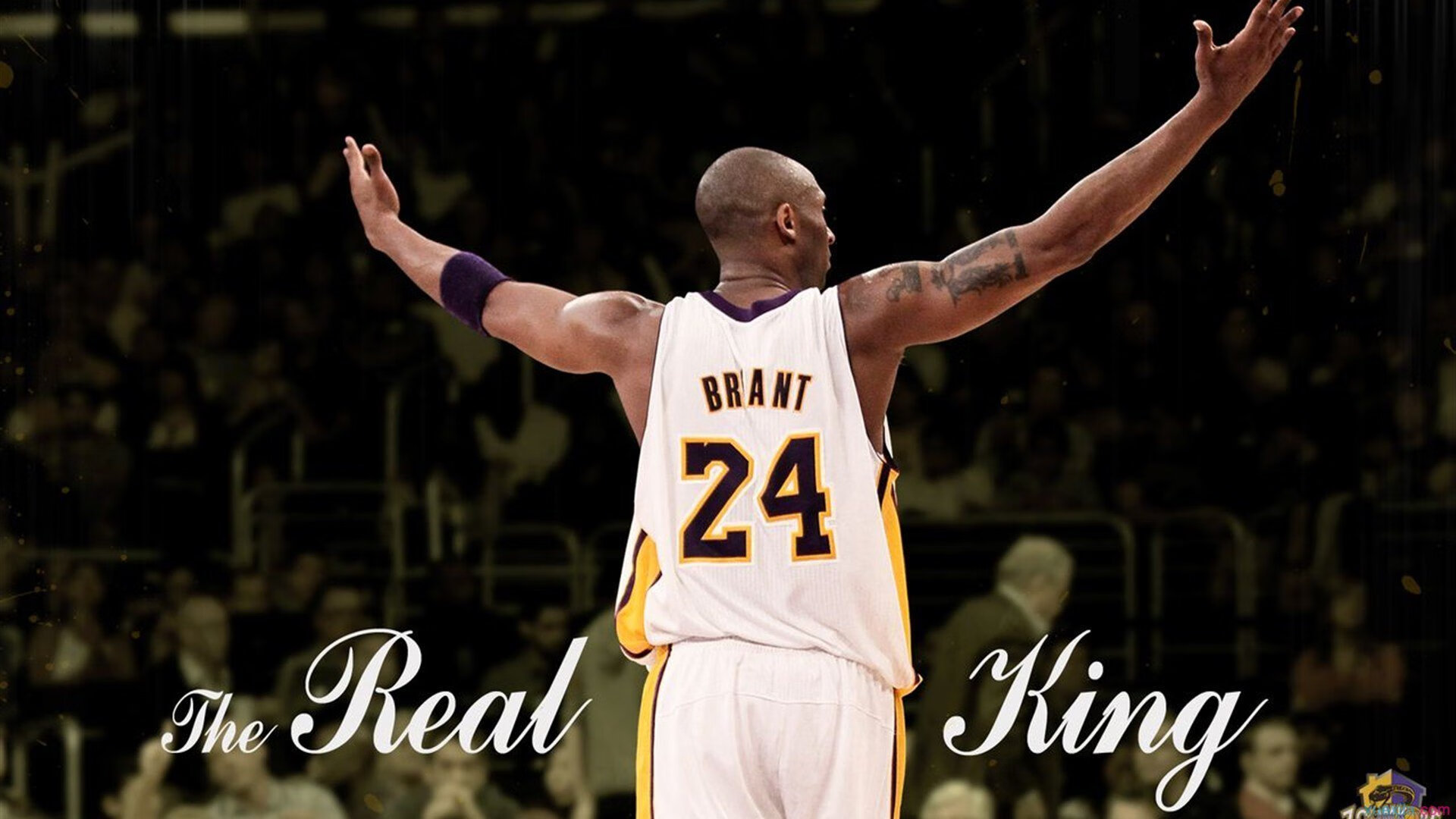 米兰体育下载-传奇阵容：历史最佳十人阵容和赛场表现，当年传奇最厉害的人