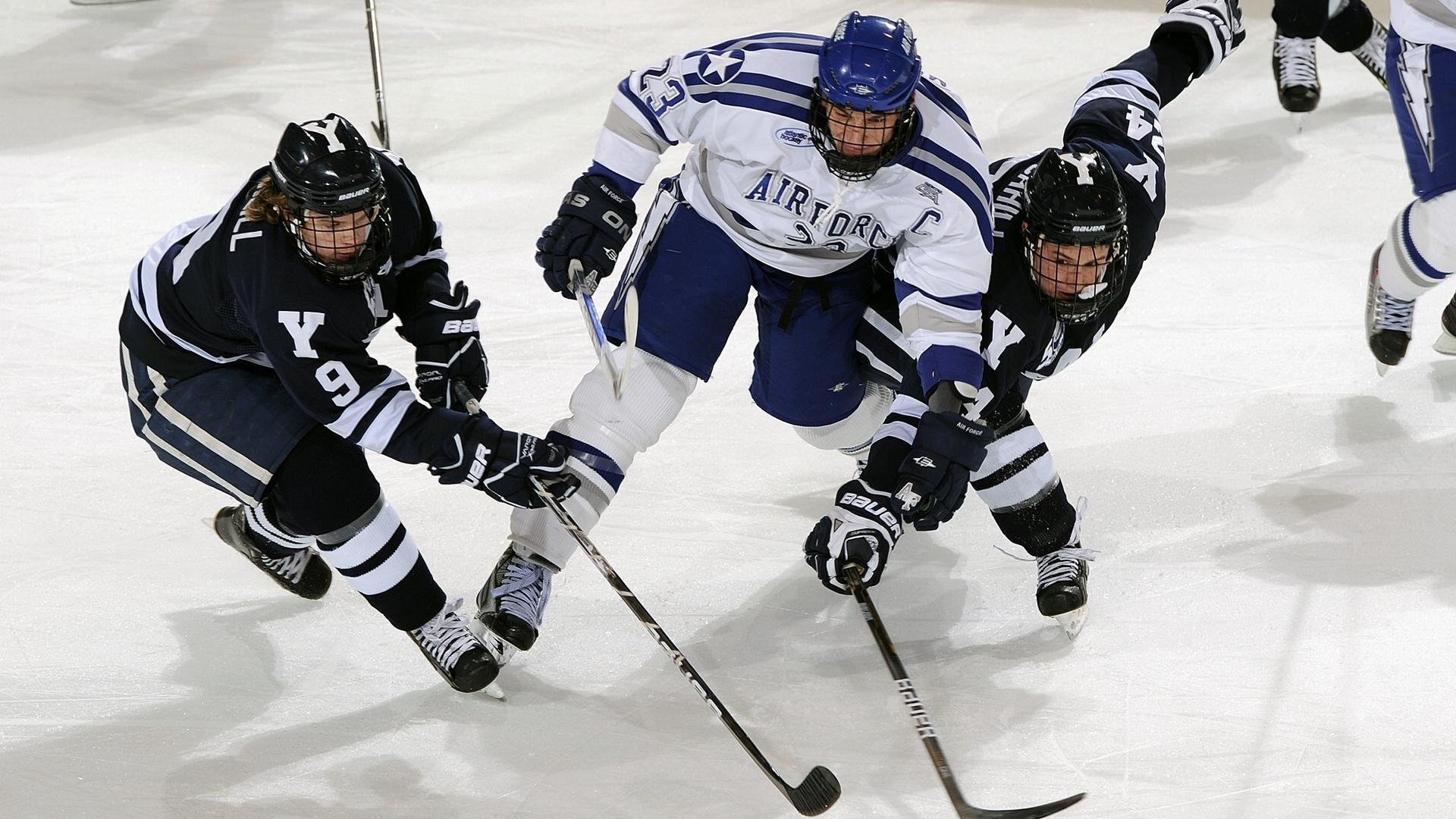 国际夜空星光瑜伽节，身心灵的静谧体验，星空瑜伽馆怎么样