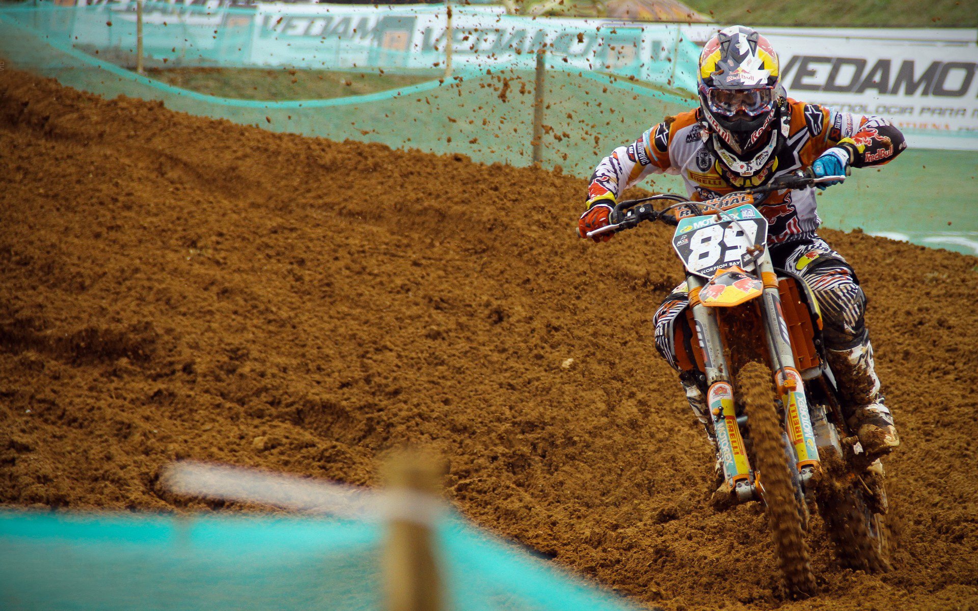 葡萄牙骑手吉尔贝托·费利佩在2024年全国工作马术锦标赛中以“Morante”马匹获得大师组第四名，表现出色。